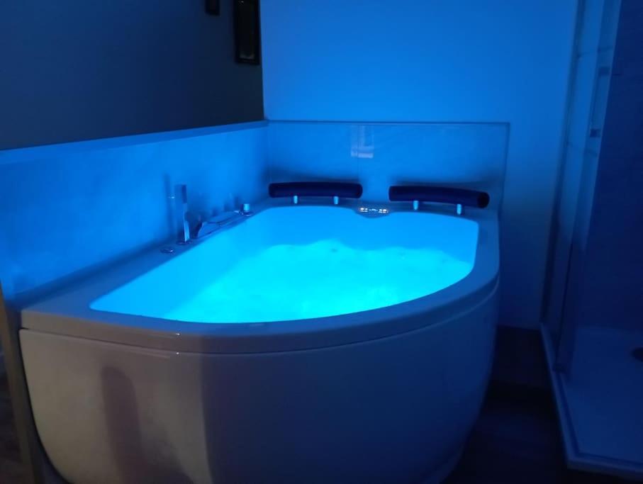 Sejour Sauna Et Jacuzzi Cocon La Roche-sur-Yon Esterno foto